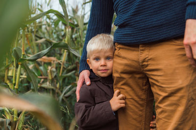 Family walking in corn field at autumn, kid hug parent