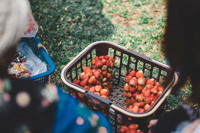 High angle view of fruits in container