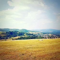 Scenic view of field against sky