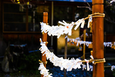 Close-up of white tied hanging on wood outside temple