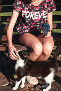 Midsection of woman holding cat