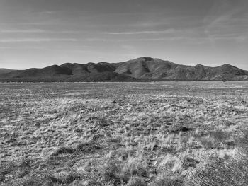 Scenic view of field and mountains against sky