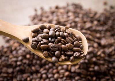 Close-up of roasted coffee beans in spoon