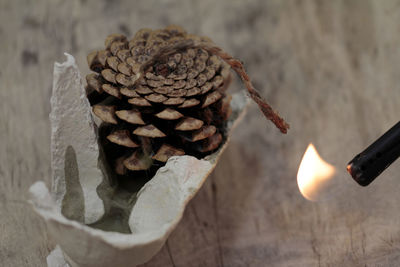 Close-up of pine cone on table