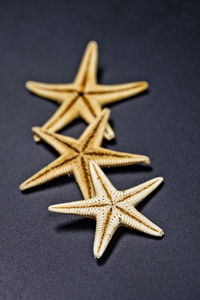 Close-up of starfish on table