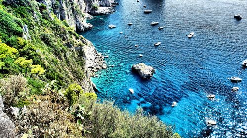 High angle view of rocks on beach
