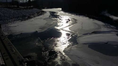 Reflection of trees in puddle