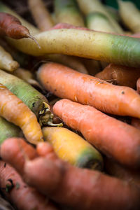 Close-up of vegetables