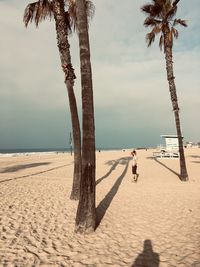 Palm trees on beach against sky