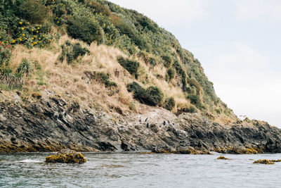 Scenic view of rocks in sea against sky