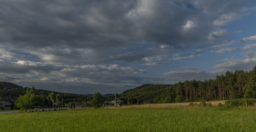 Scenic view of field against sky