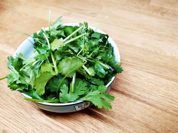 High angle view of green leaves on table