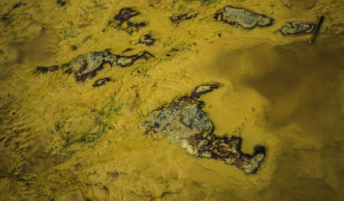 Yellow waters with colored stones. water dyed yellow and orange by copper on the ground