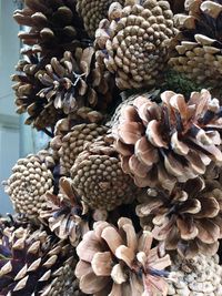 Close-up of fruits for sale in market