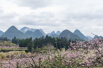 mountain