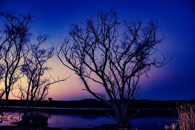 Silhouette bare tree by lake against clear sky