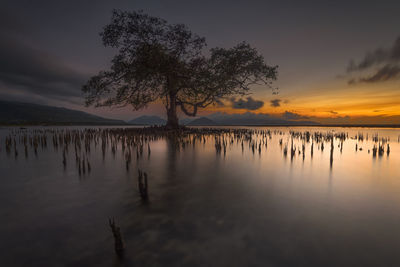 Scenic view of lake against sky during sunset