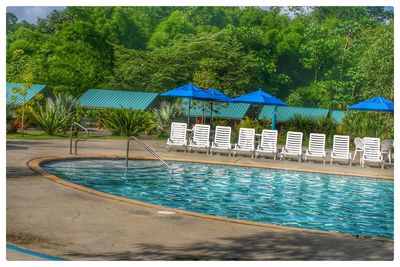 View of swimming pool