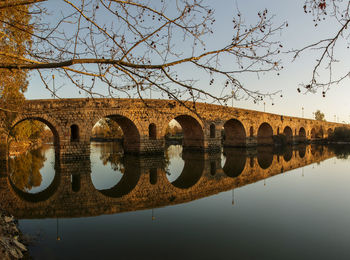 Reflection of bare trees in water