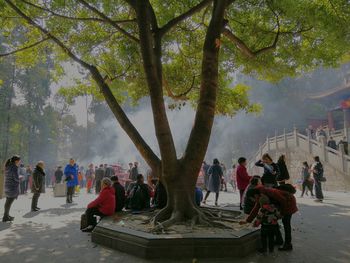 Group of people on tree trunk during winter