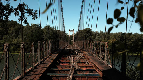 Railroad tracks amidst trees against sky