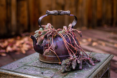 Teapot full of plants