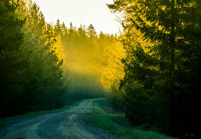 A beautiful spring landscape with a gravel road. springtime scenery of an old road in europe.