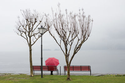 Woman sitting on bench with red umbrella amidst bare trees at lakeshore in foggy weather