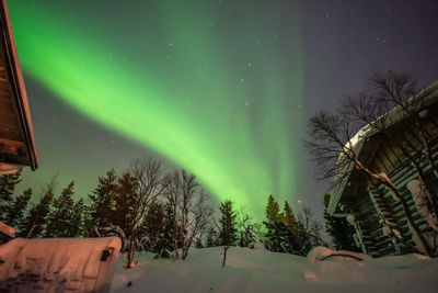 Low angle view of trees against sky at night during winter