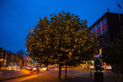 Trees in city at night