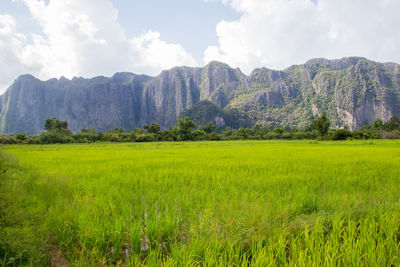 Scenic view of field against sky