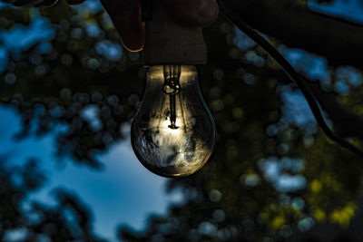 Cropped hand holding light bulb against trees during sunset