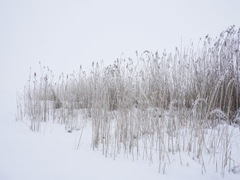 Scenic view of snow against clear sky