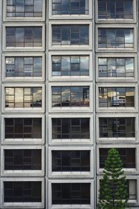 Facade of an apartment building and the tip of a tree. urban scenery, abstract close up.