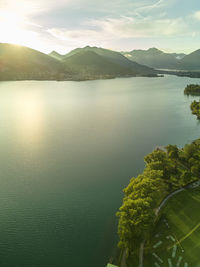 Dawn at the lake with trees in the foreground