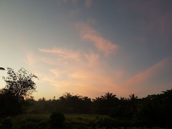 Silhouette trees on field against sky at sunset