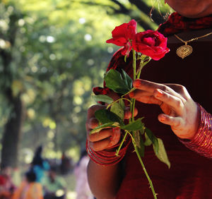 Midsection of woman holding red flowering plant