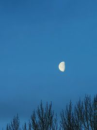 Low angle view of moon against clear blue sky