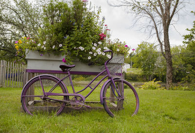 Bicycle parked by trees on field