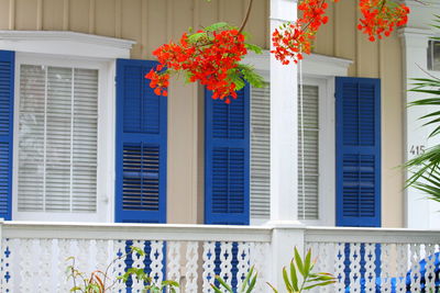 Low angle view of flowering plant against building