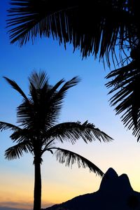 Low angle view of silhouette palm trees against sky during sunset