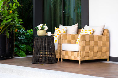 Potted plants on sofa against building at home