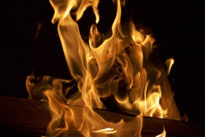 Close-up of bonfire against black background