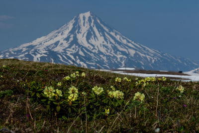 Scenic view of snowcapped mountains against sky