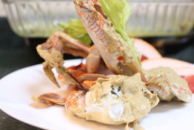 Close-up of seafood served in plate