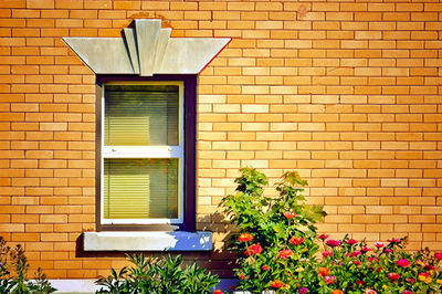 Potted plant on brick wall of building