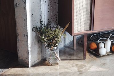 Potted plants on table at home