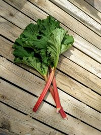 High angle view of vegetable on table