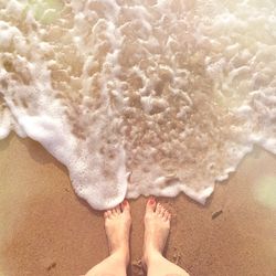 Low section of woman standing on beach