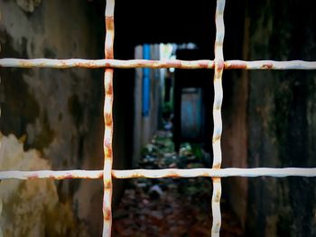 Close-up of rusty metal fence against building